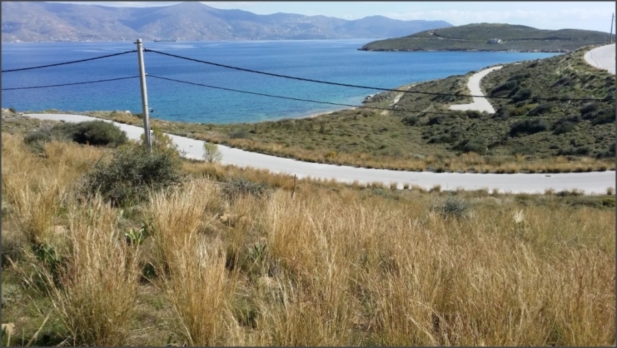 (Προς Πώληση) Αξιοποιήσιμη Γη Οικόπεδο || Ν. Εύβοιας/Κάρυστος - 685 τ.μ, 60.000€ 